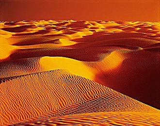 守望2022年联赛5月开启 将使用预发布版《守望先锋2》